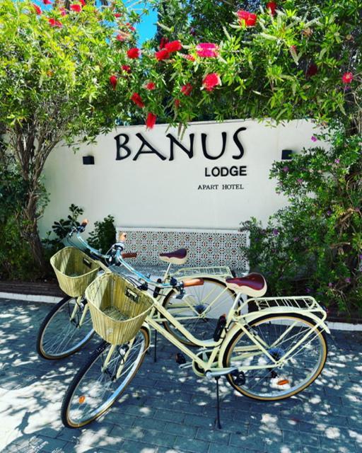 Banus Lodge Marbella Kültér fotó