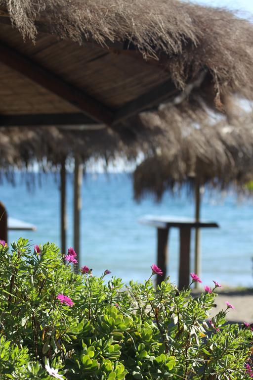 Banus Lodge Marbella Kültér fotó