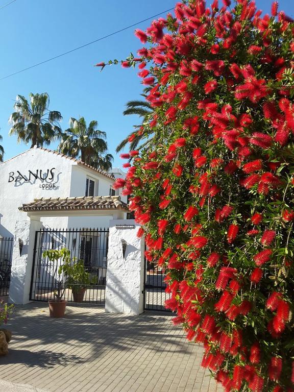 Banus Lodge Marbella Kültér fotó