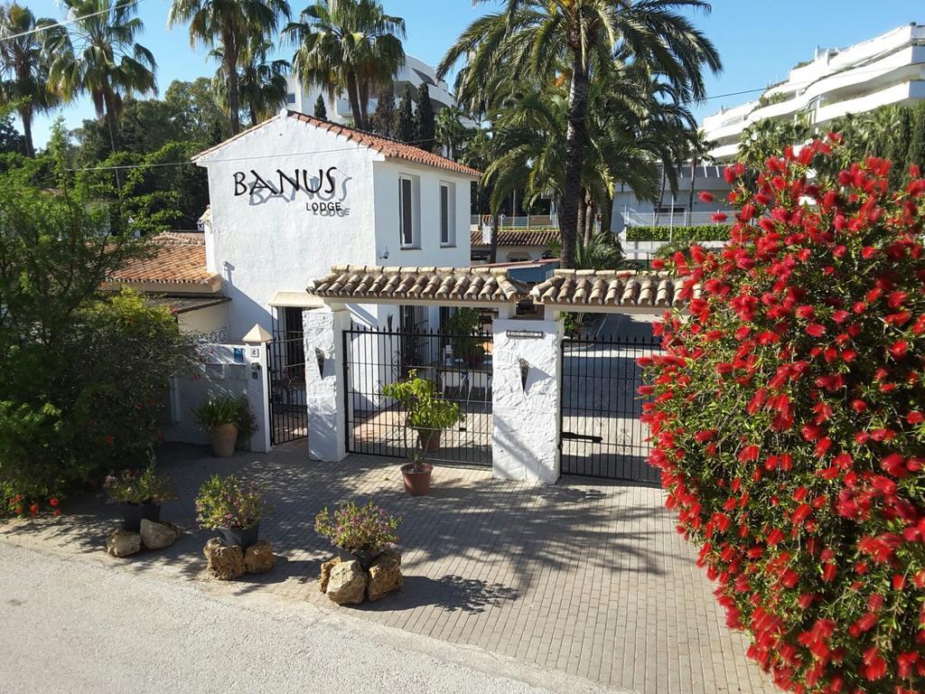 Banus Lodge Marbella Kültér fotó