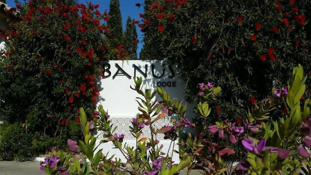 Banus Lodge Marbella Kültér fotó
