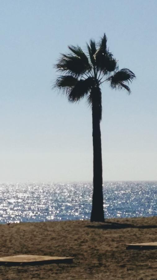 Banus Lodge Marbella Kültér fotó