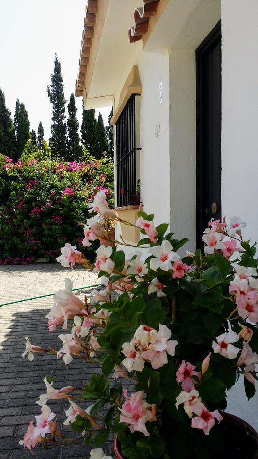 Banus Lodge Marbella Kültér fotó